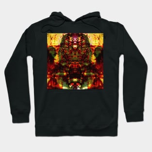 Stoner Art Test #2 Hoodie